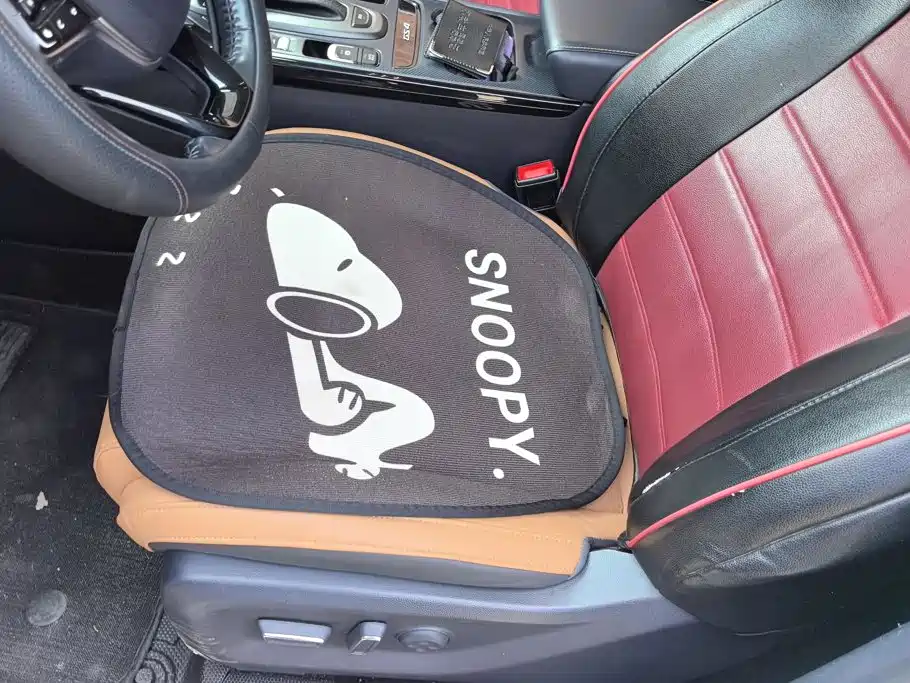 GAC Motor Trumpchi GS4 — миниатюра 9