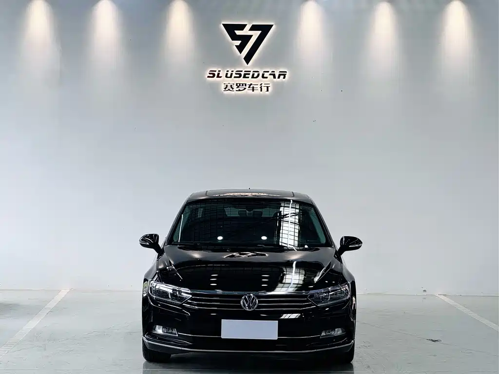 Volkswagen Magotan 2019 330TSI DSG Luxury VI