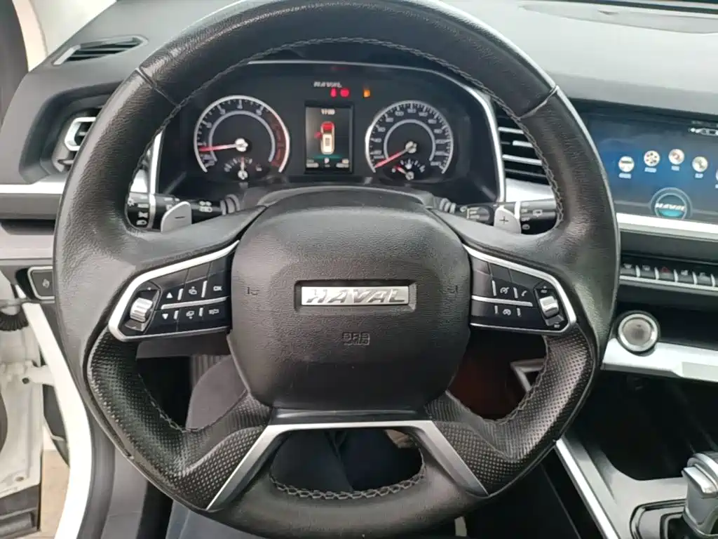 Haval H6 — миниатюра 11