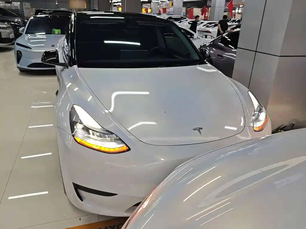 Tesla Model Y — миниатюра 3