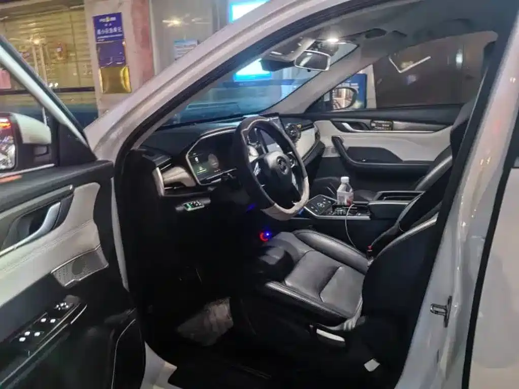 WM Motor EX5 — миниатюра 6