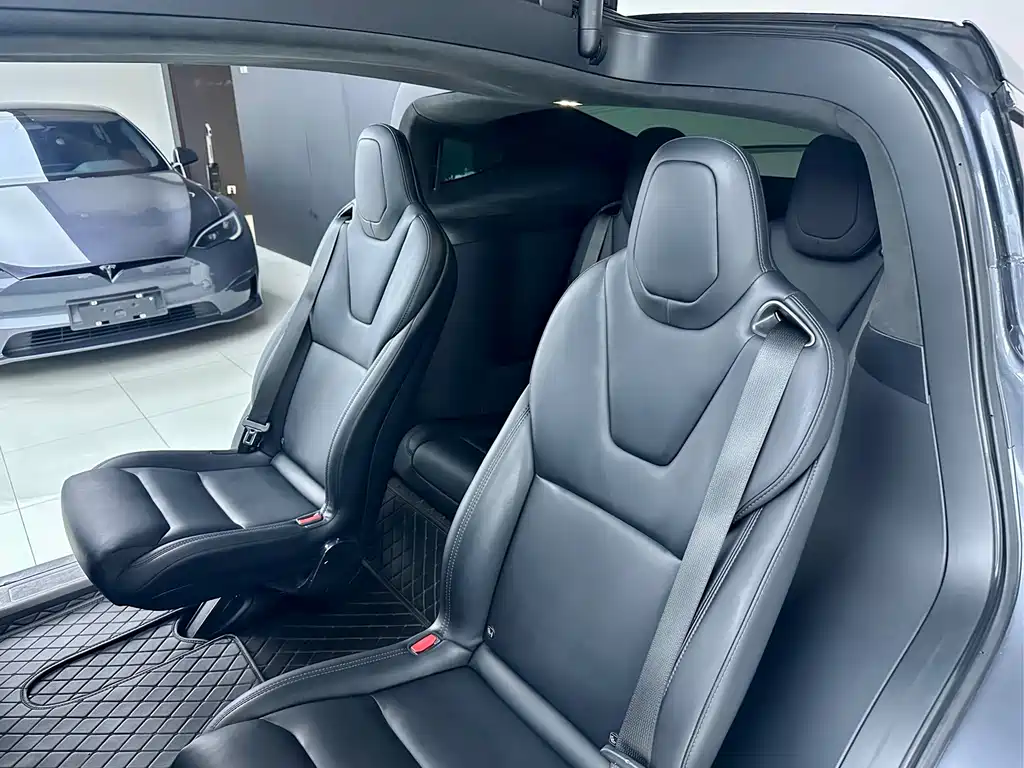 Tesla Model X — миниатюра 4