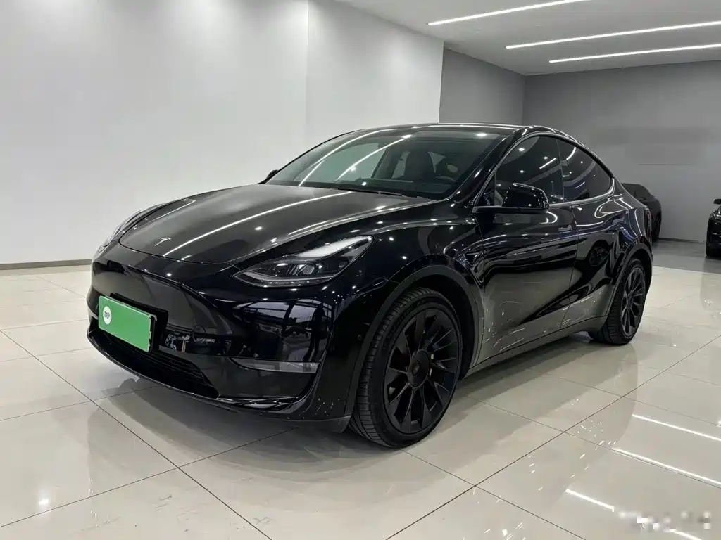 Tesla Model Y — миниатюра 2