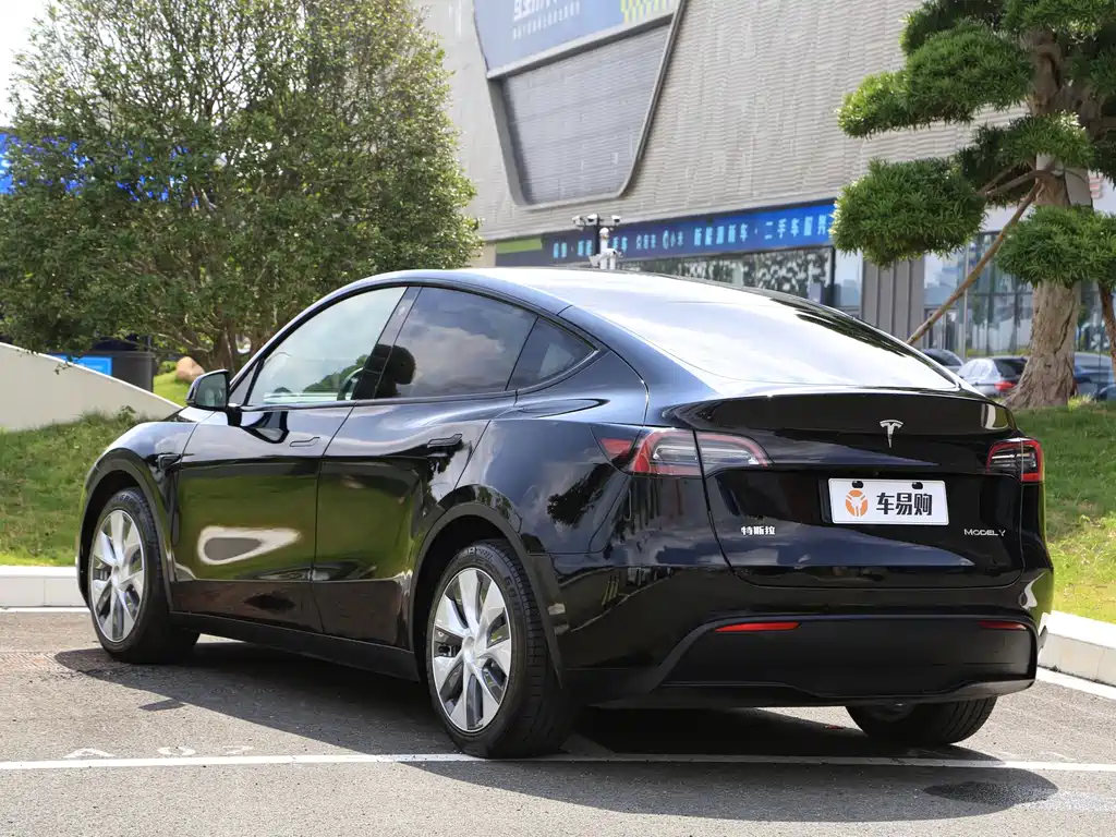 Tesla Model Y — миниатюра 18