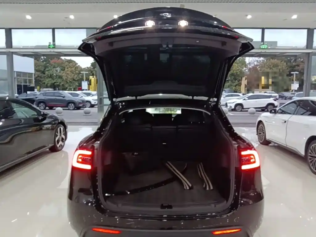 Tesla Model Y — миниатюра 19