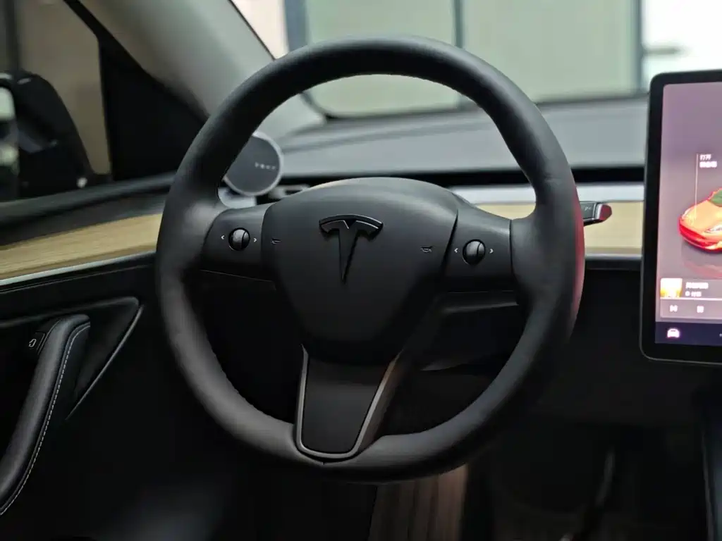 Tesla Model Y — миниатюра 10