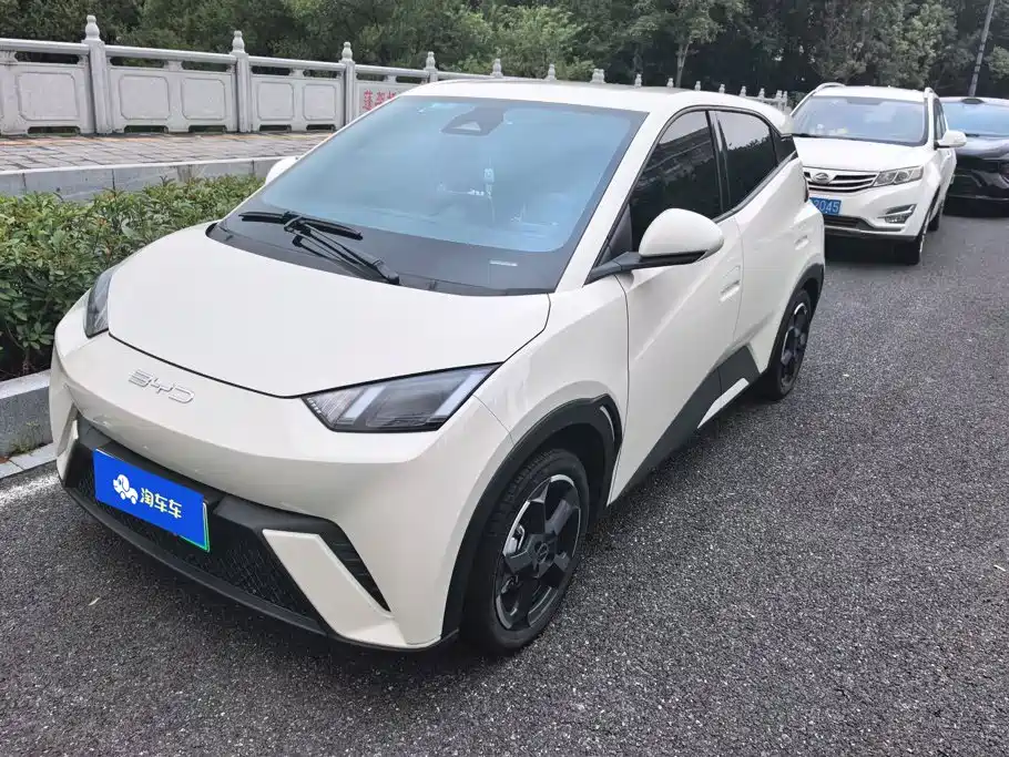 BYD Seagull