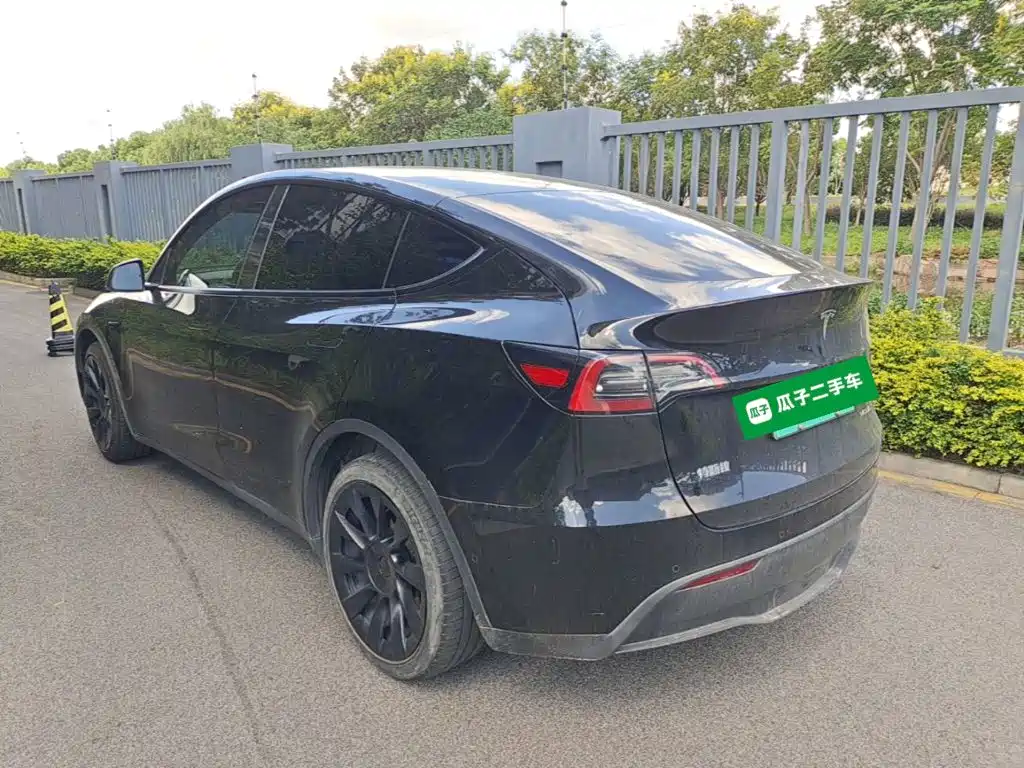 Tesla Model Y — миниатюра 5
