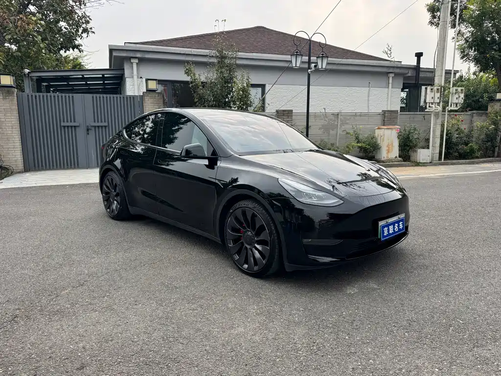 Tesla Model Y — миниатюра 3