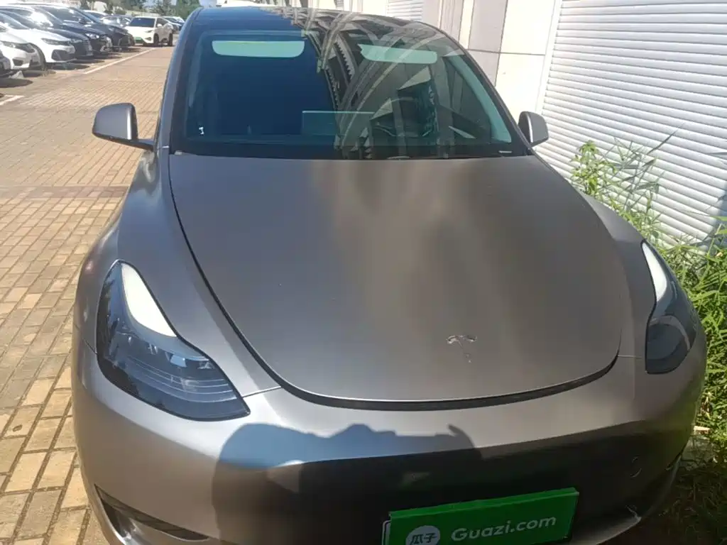 Tesla Model Y — миниатюра 3