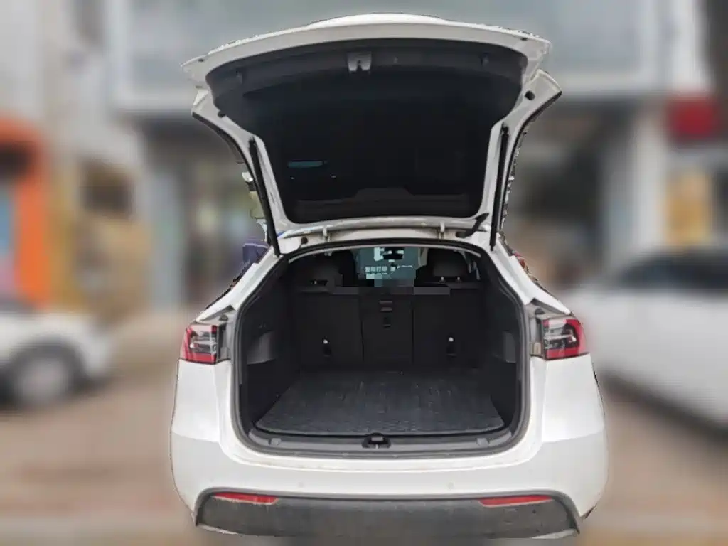 Tesla Model Y — миниатюра 15