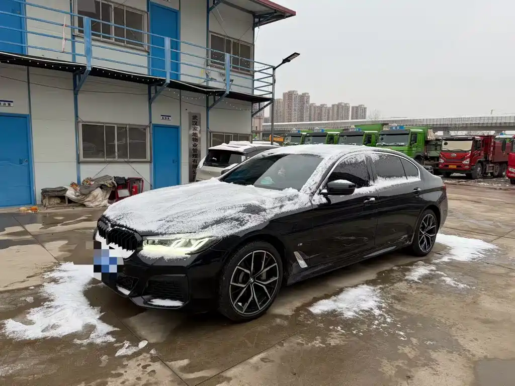 BMW 5 SERIES