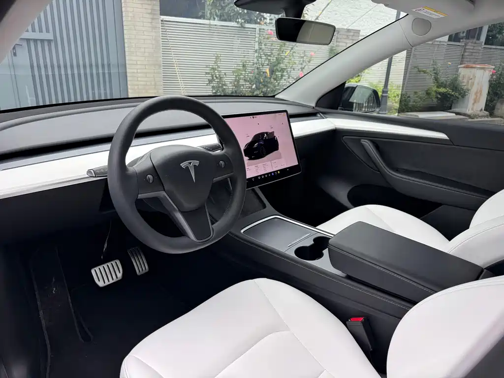 Tesla Model Y — миниатюра 5