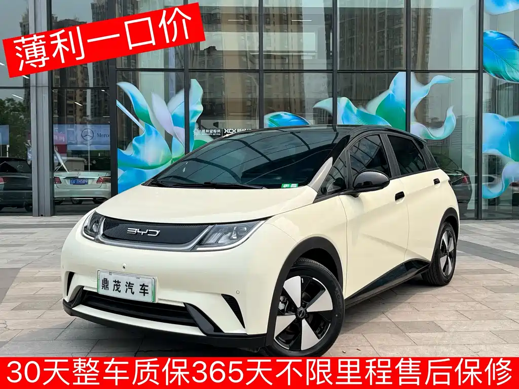 Byd Dolphin 2024