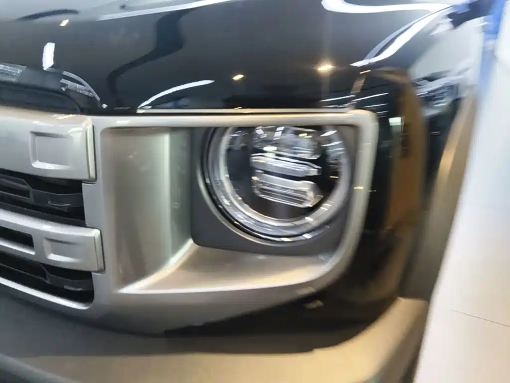 Haval Big Dog — миниатюра 24
