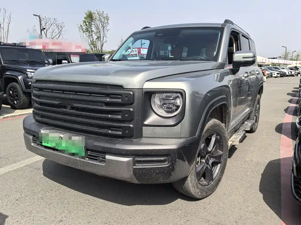 Haval Menglong New Energy 2024