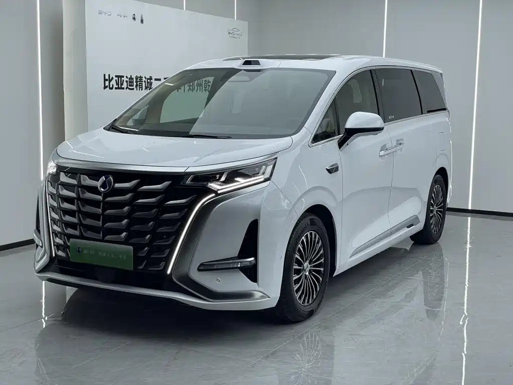 2025 Denza D9 - zdjęcie 1 z 9