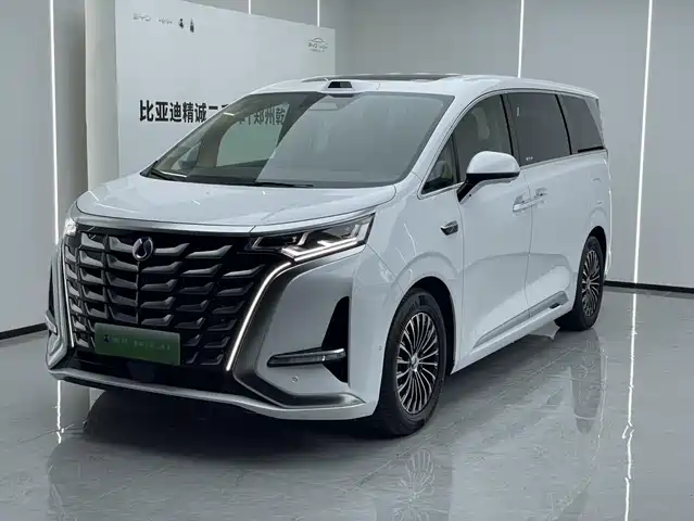 2025 Denza D9