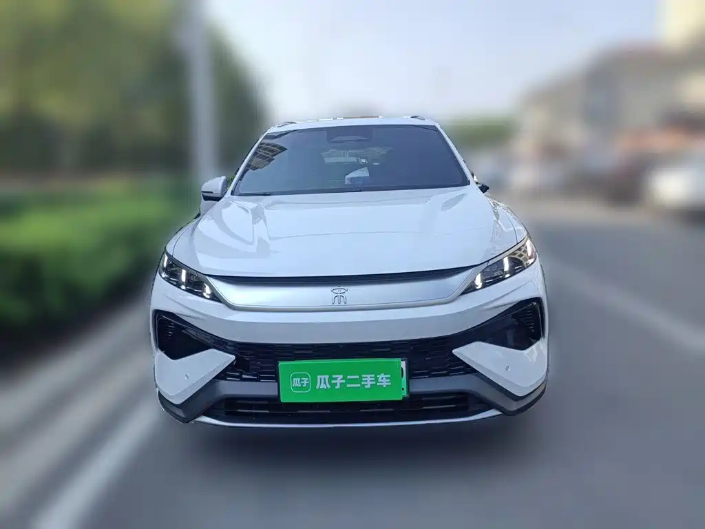 BYD Pro New Energy — миниатюра 2