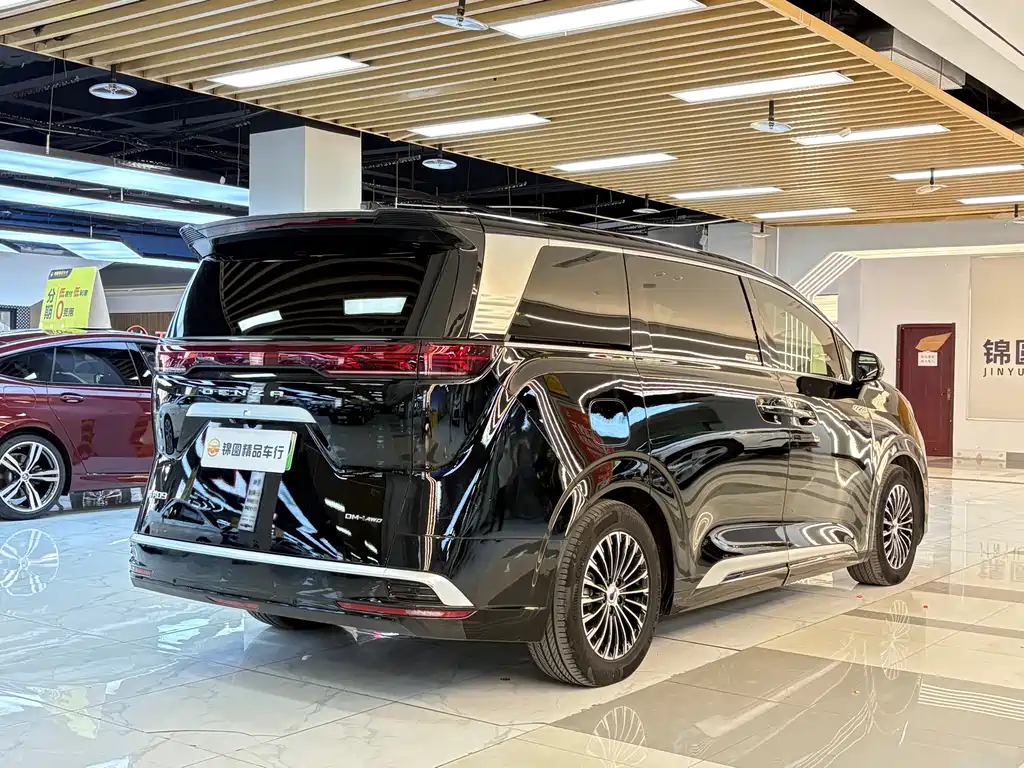 Denza Denza D9 — миниатюра 5