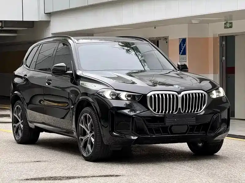 BMW X5 — миниатюра 3