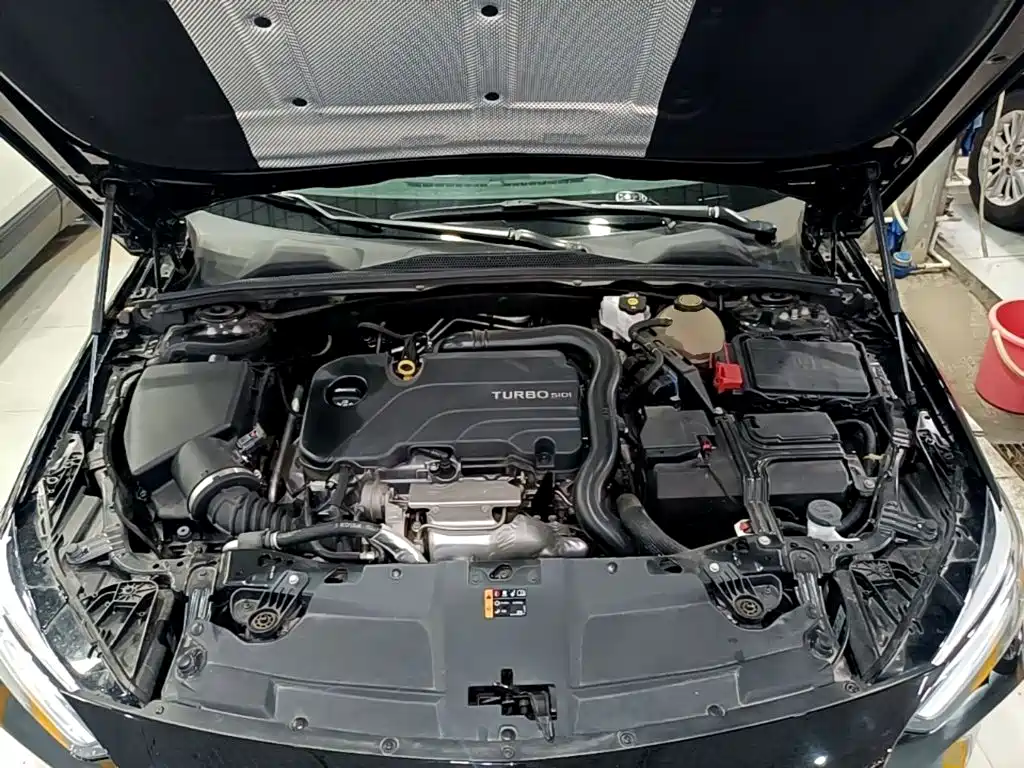 Buick Regal — миниатюра 20