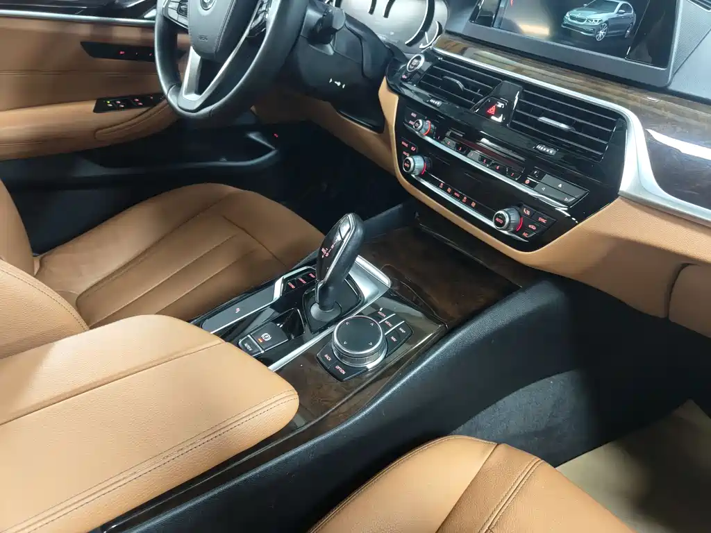 BMW 5 Series 5 2018 528Li
