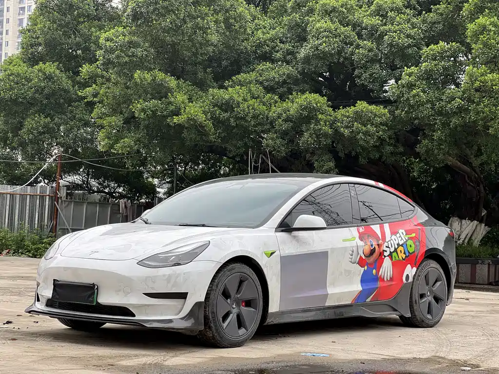 Tesla Model 3 2021 Standard Range RWD Upgrade Edition