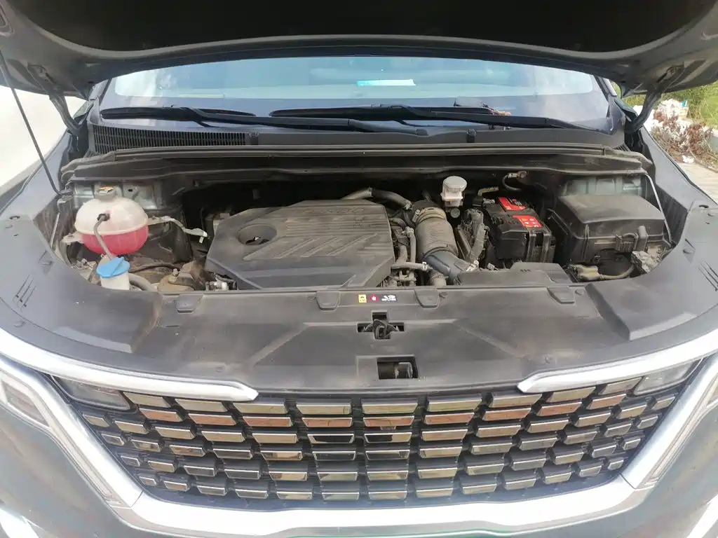 Kia Carnival — миниатюра 11