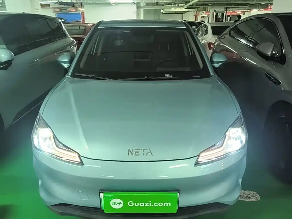 Neta Neta V — миниатюра 3