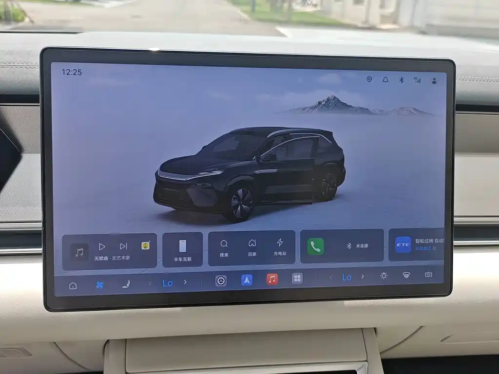 BYD Дон Л. — миниатюра 15