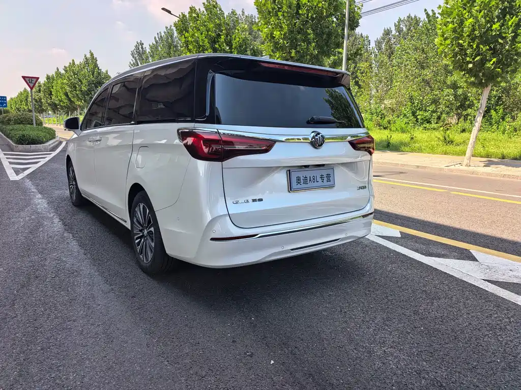 Buick GL8 2023 ES Luxury