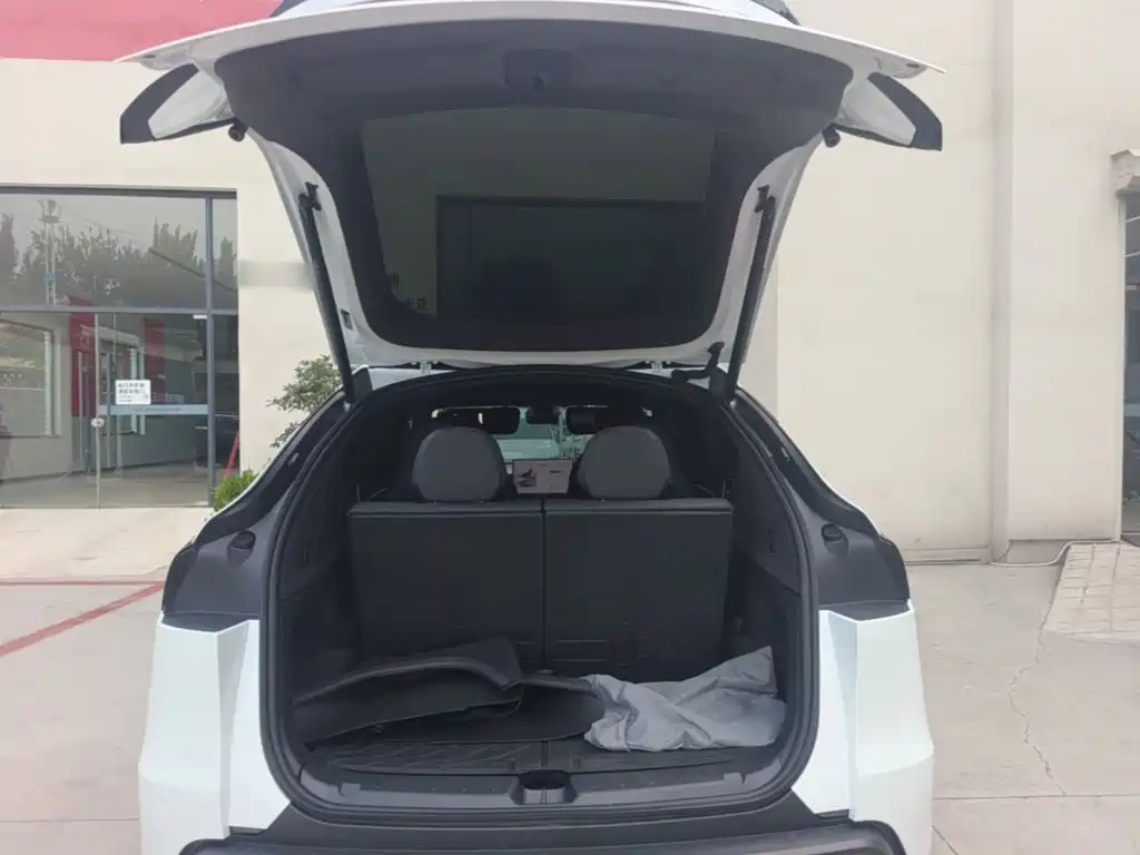 Tesla Model Y L — миниатюра 19