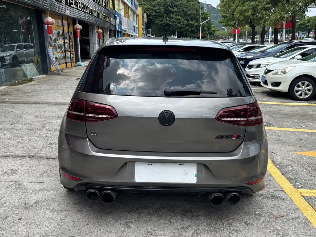 Volkswagen Golf (Import) — миниатюра 13