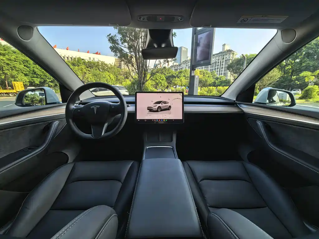 Tesla Model Y — миниатюра 6