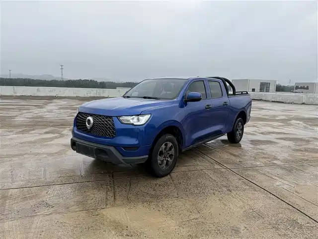 GREAT WALL CANNON 2022