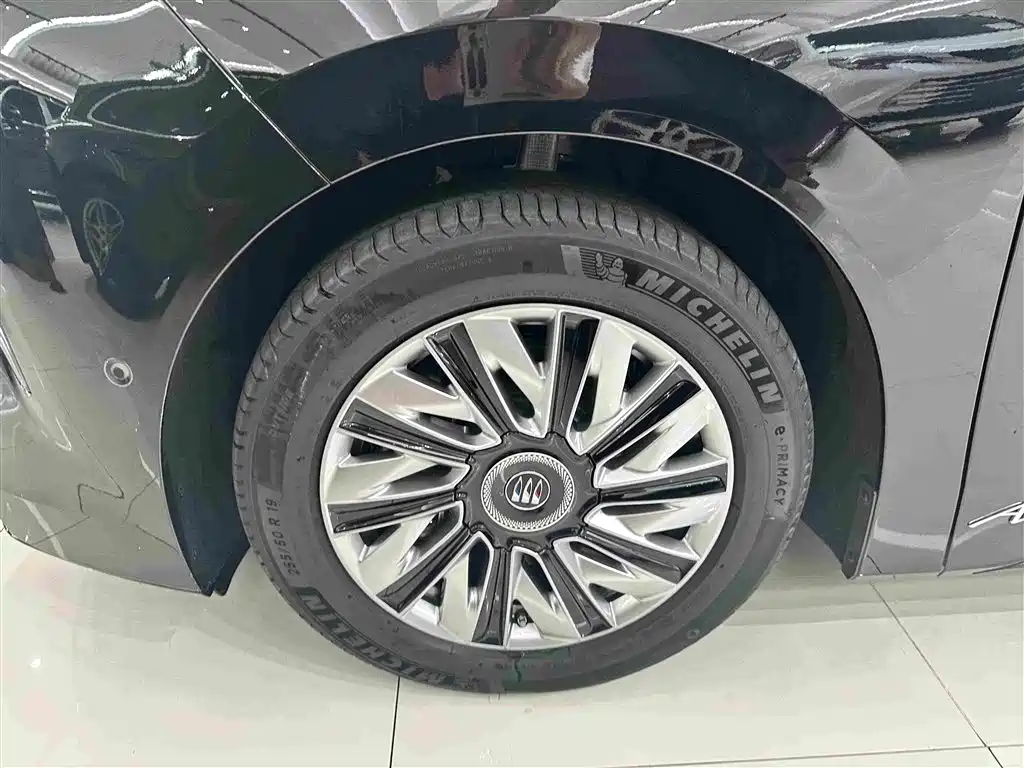 Buick Electra Encasa — миниатюра 5