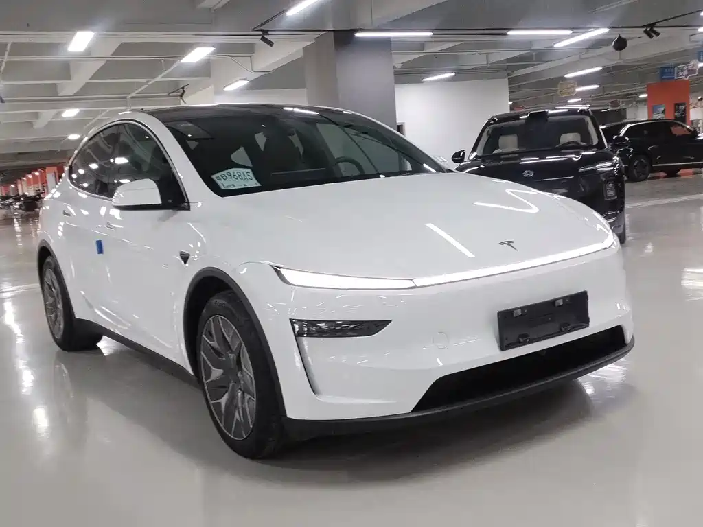 Tesla Model Y L — миниатюра 3