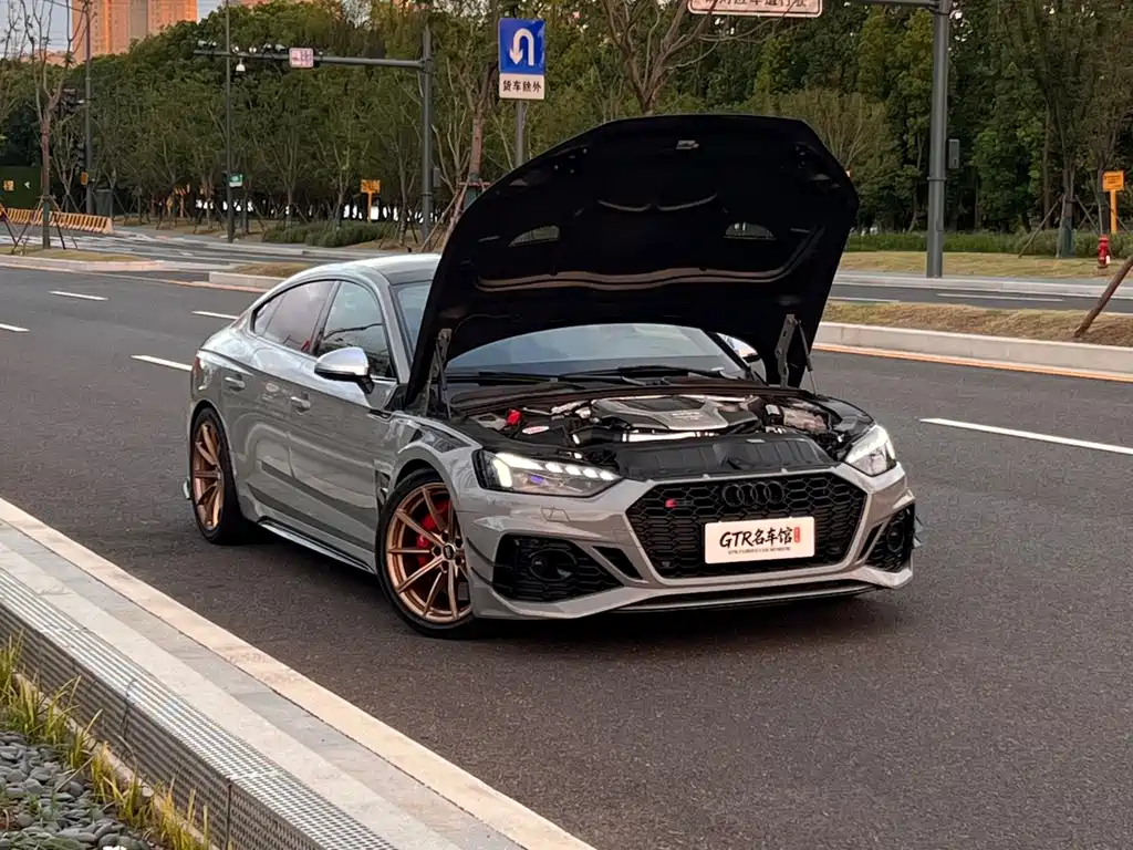 Audi RS 5 — миниатюра 2