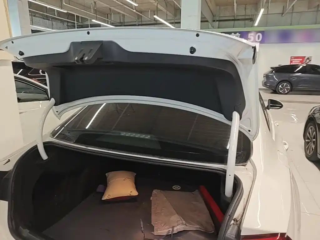 Volkswagen Lamando — миниатюра 19