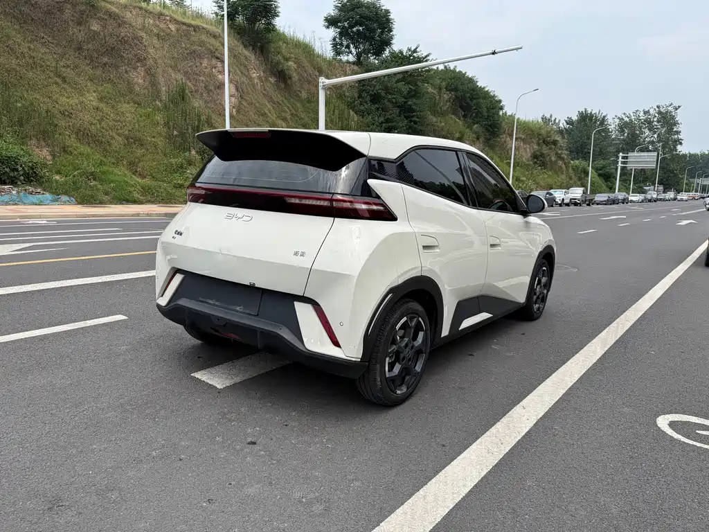 BYD Seagull 2025 305km Freedom