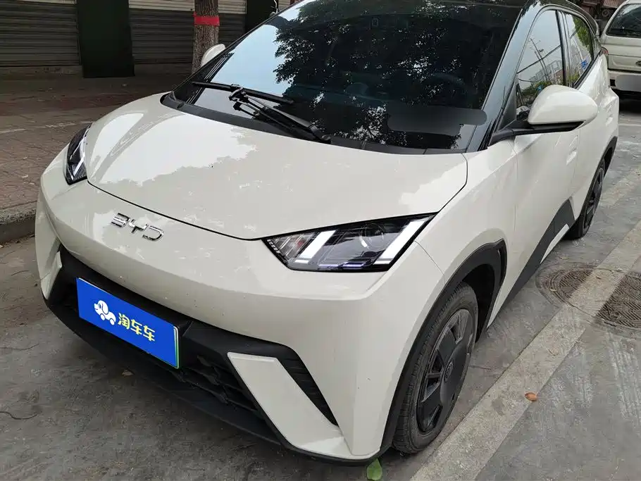 Byd Seagull 2024