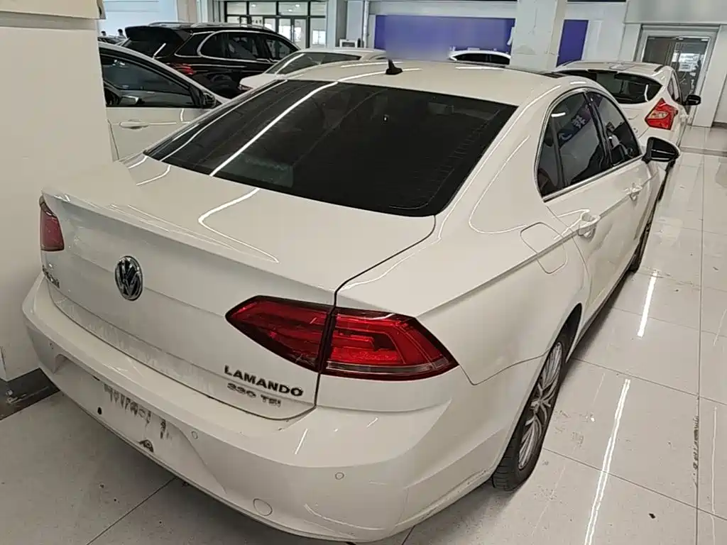Volkswagen Lamando — миниатюра 7