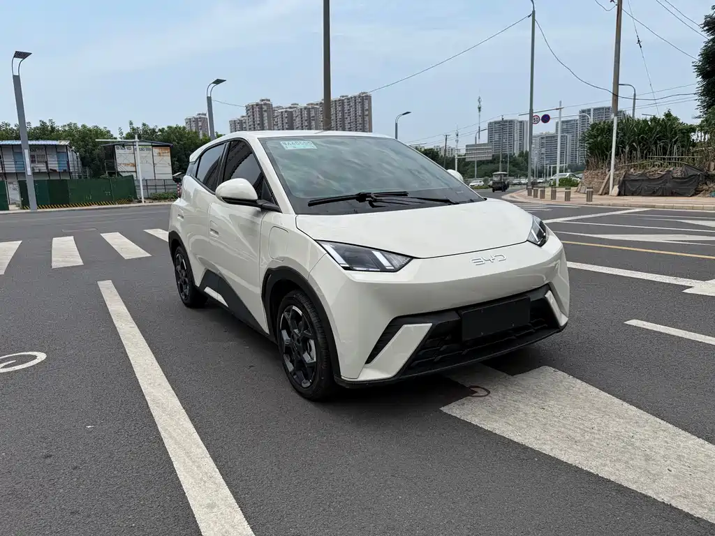BYD Seagull 2025 305km Freedom
