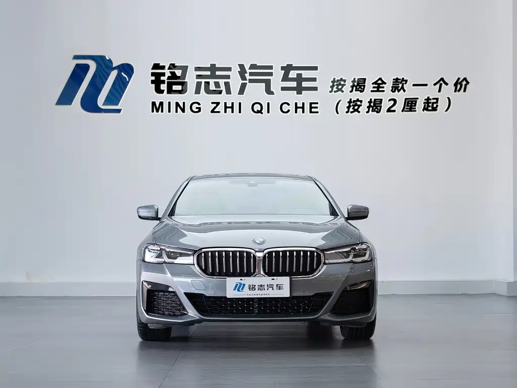 BMW 5 Series (Import) — миниатюра 3