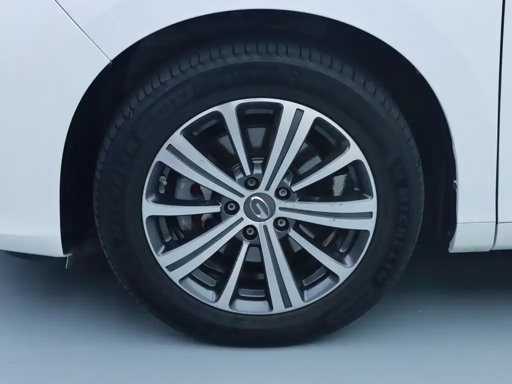 GAC Motor M8 320T Premium Edition, фото 4