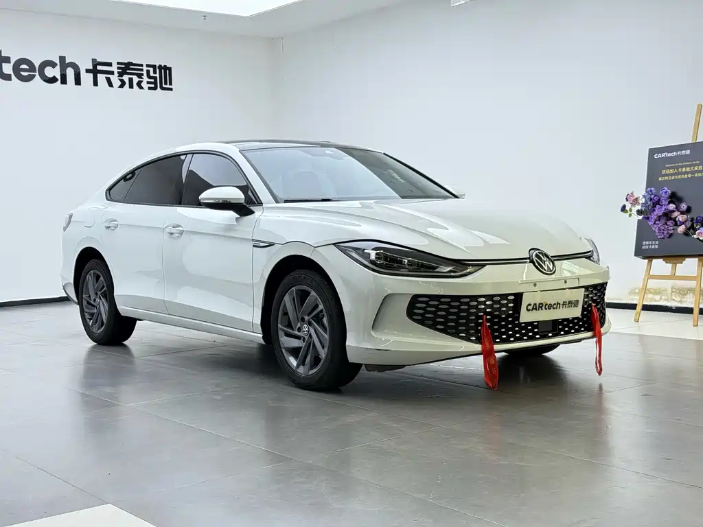 Volkswagen Lamando — миниатюра 12