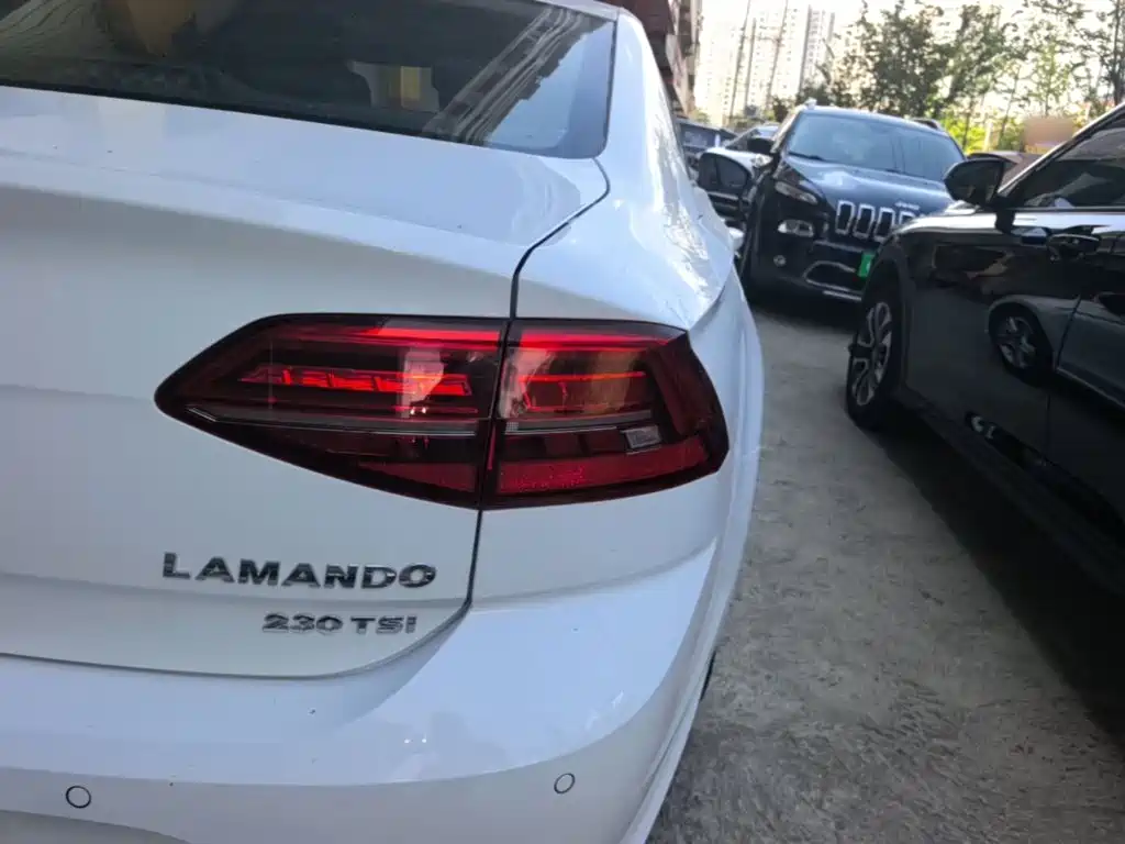 Volkswagen Lamando — миниатюра 8