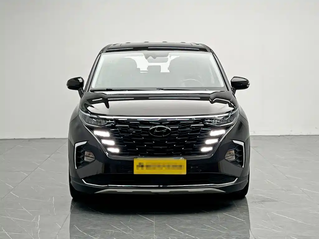 Hyundai Custo — миниатюра 2