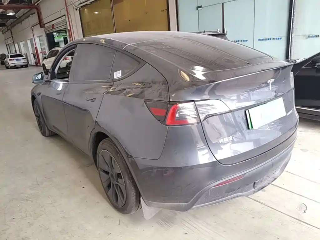 Tesla Model Y — миниатюра 5